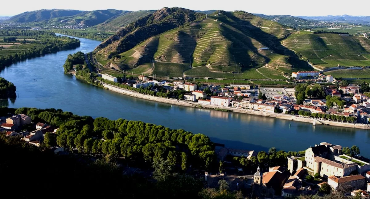 Αμπελώνες Ευρώπη στο Rhone