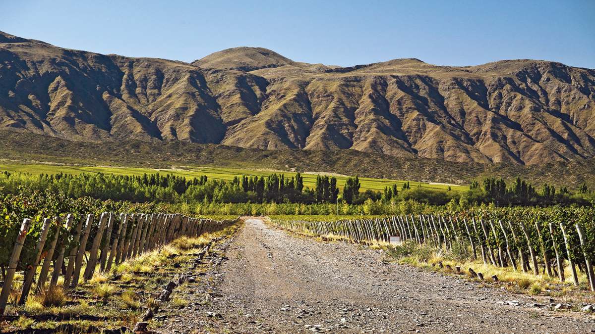 Αμπελώνες Zuccardi Αργεντινή καλύτεροι στον κόσμο