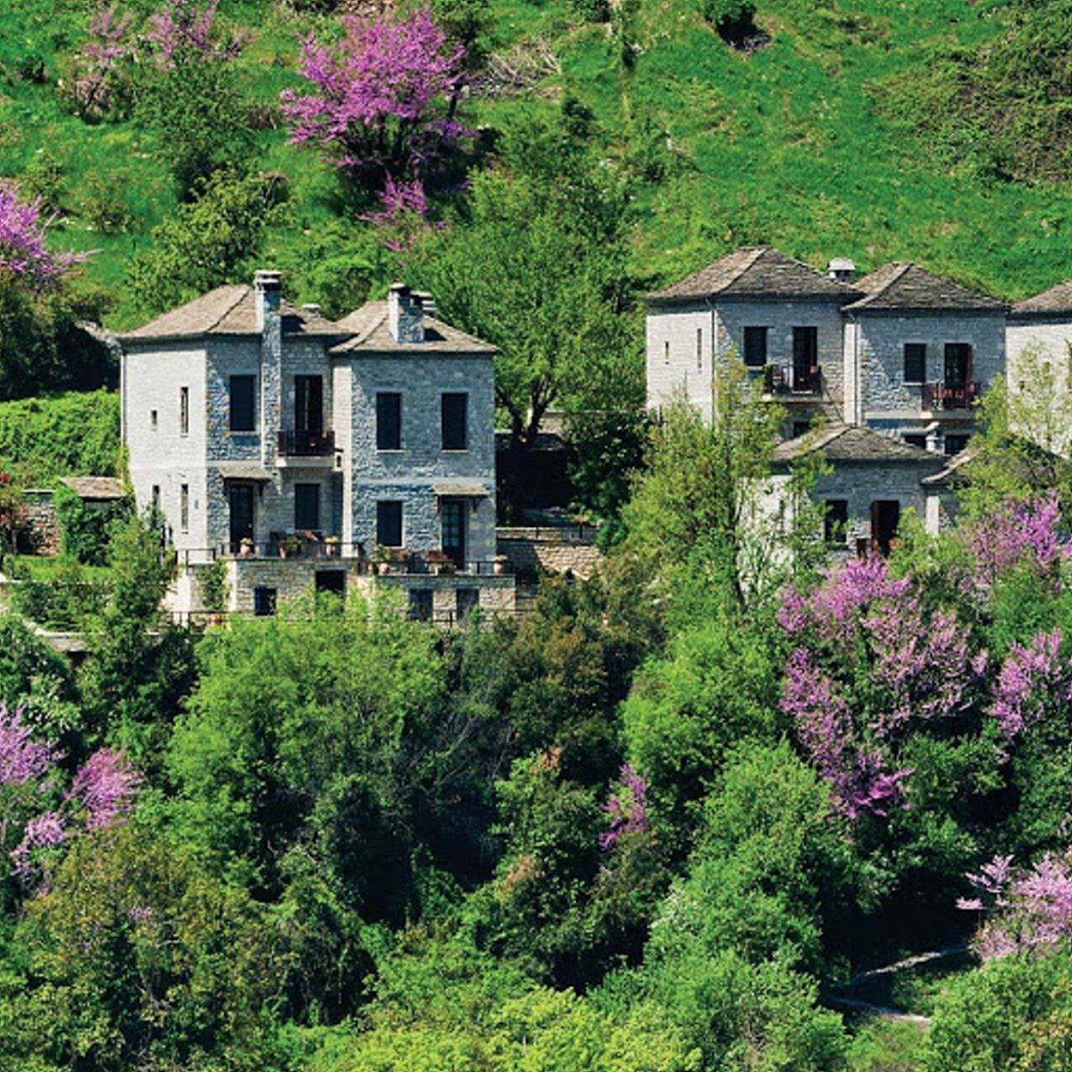 Aristi Mountain Resort μέσα στο πράσινο