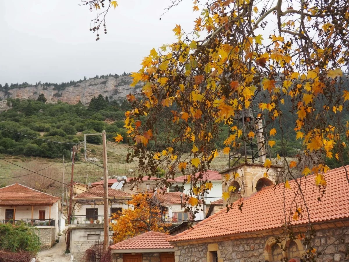 Κεφαλάρι Αρκαδίας