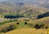 Αρχαία Λυκόσουρα στο Λυκαίο Όρος