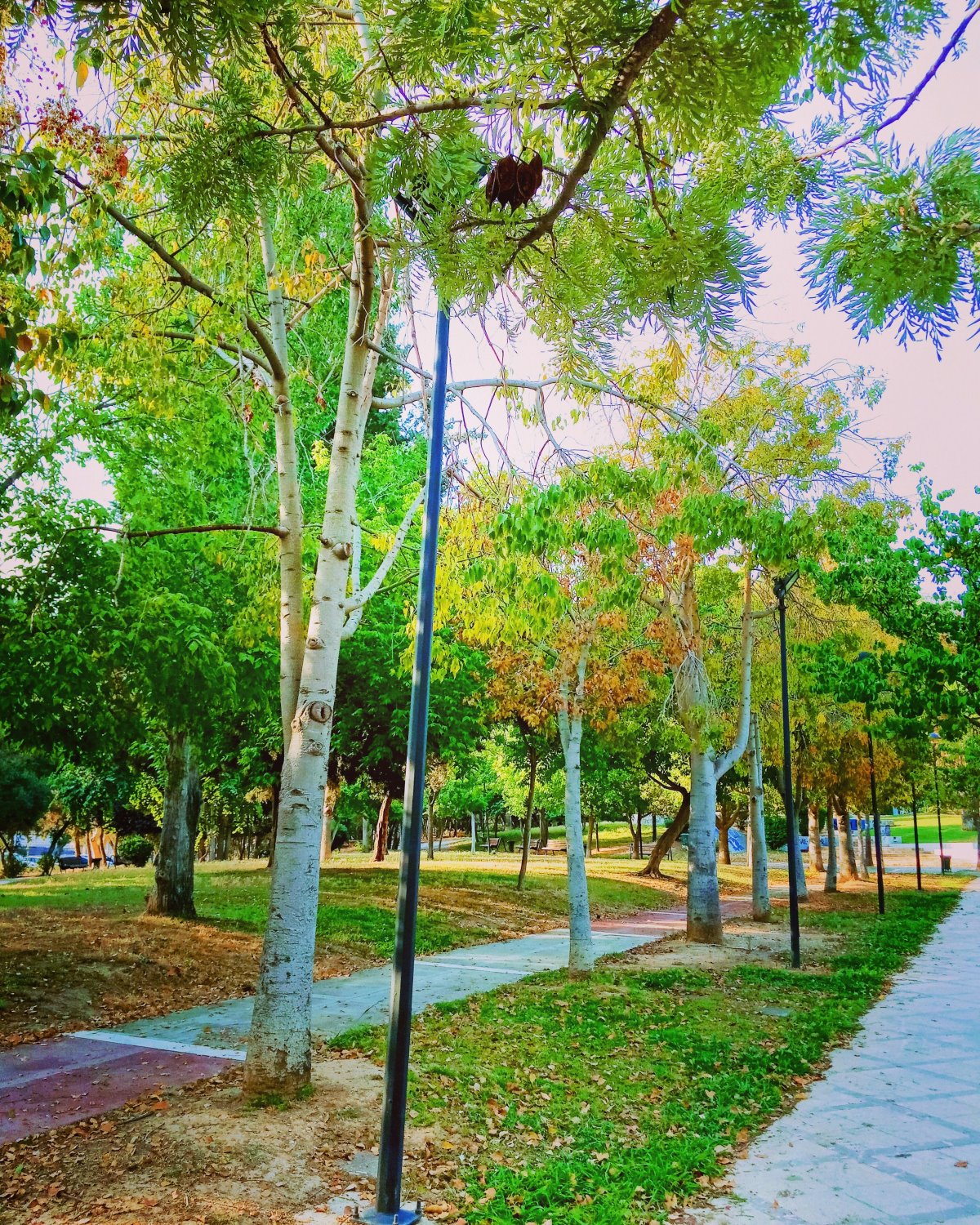 Άλσος Αιγάλεω Μπαρουτάδικο πλούσια φύση