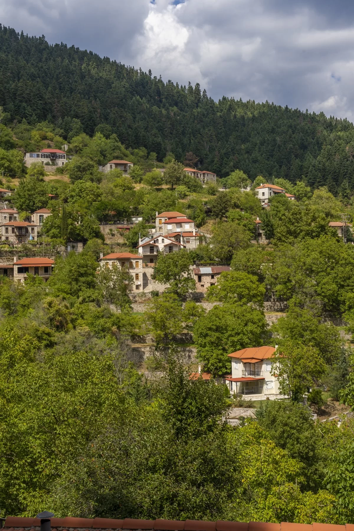 Νόστιμο Ευρυτανίας, γενική άποψη του χωριού