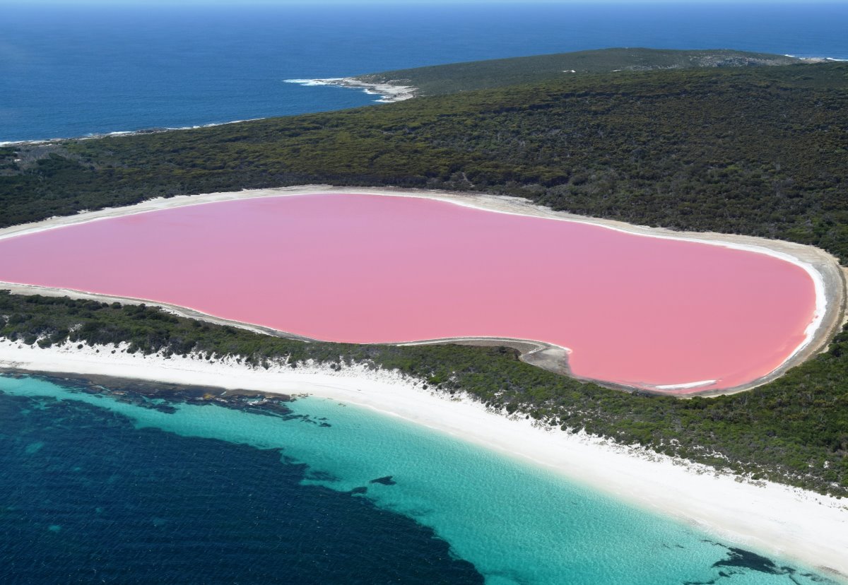 Η ροζ λίμνη, Αυστραλία, πανοραμική εικόνα