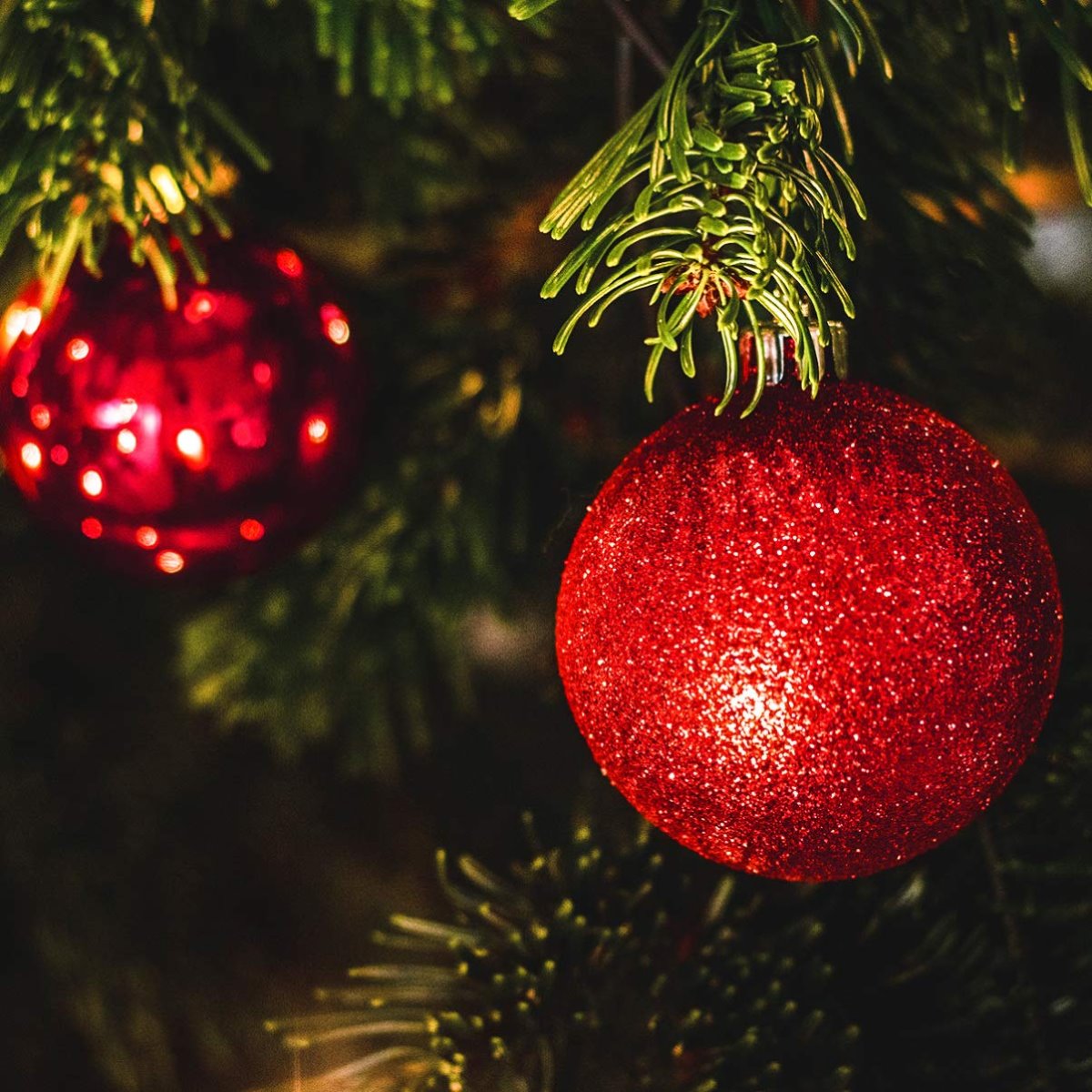 κόκκινες μπάλες σε χριστουγεννιάτικο δέντρο