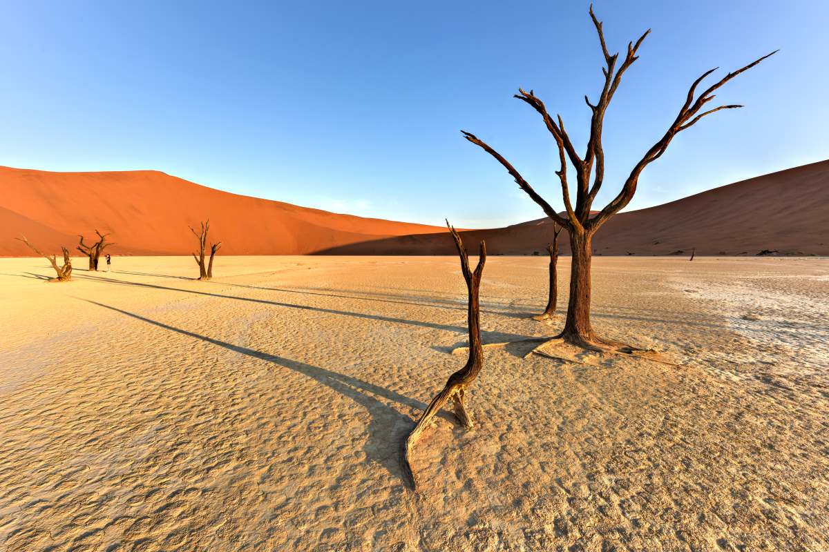 Namib desert