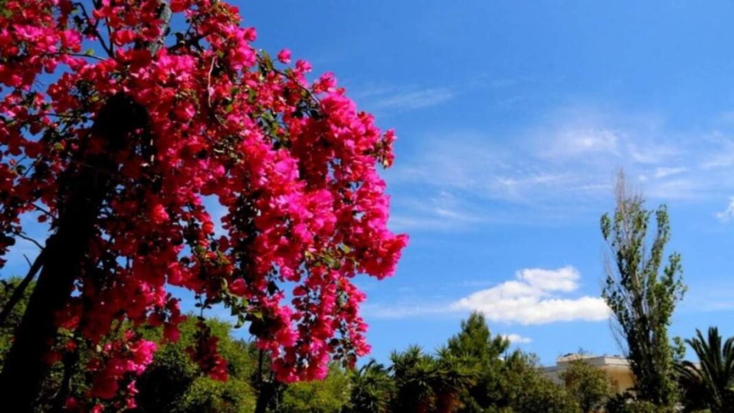 καιρός 12/3 ελλάδα πρόγνωση ζέστη