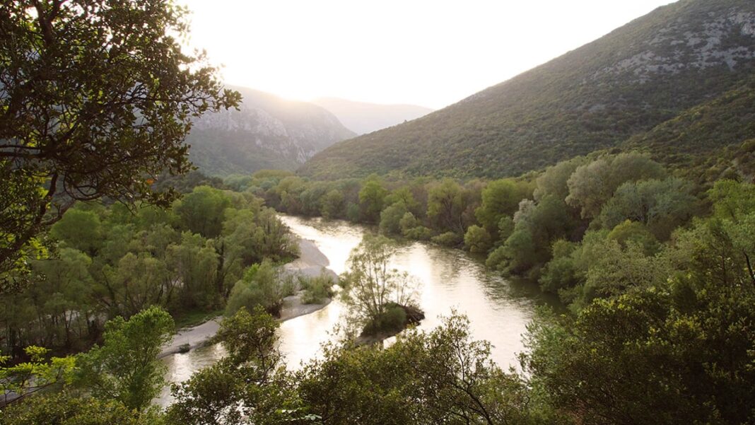 Κοτζά Ορμάν Δάσος Νέστος