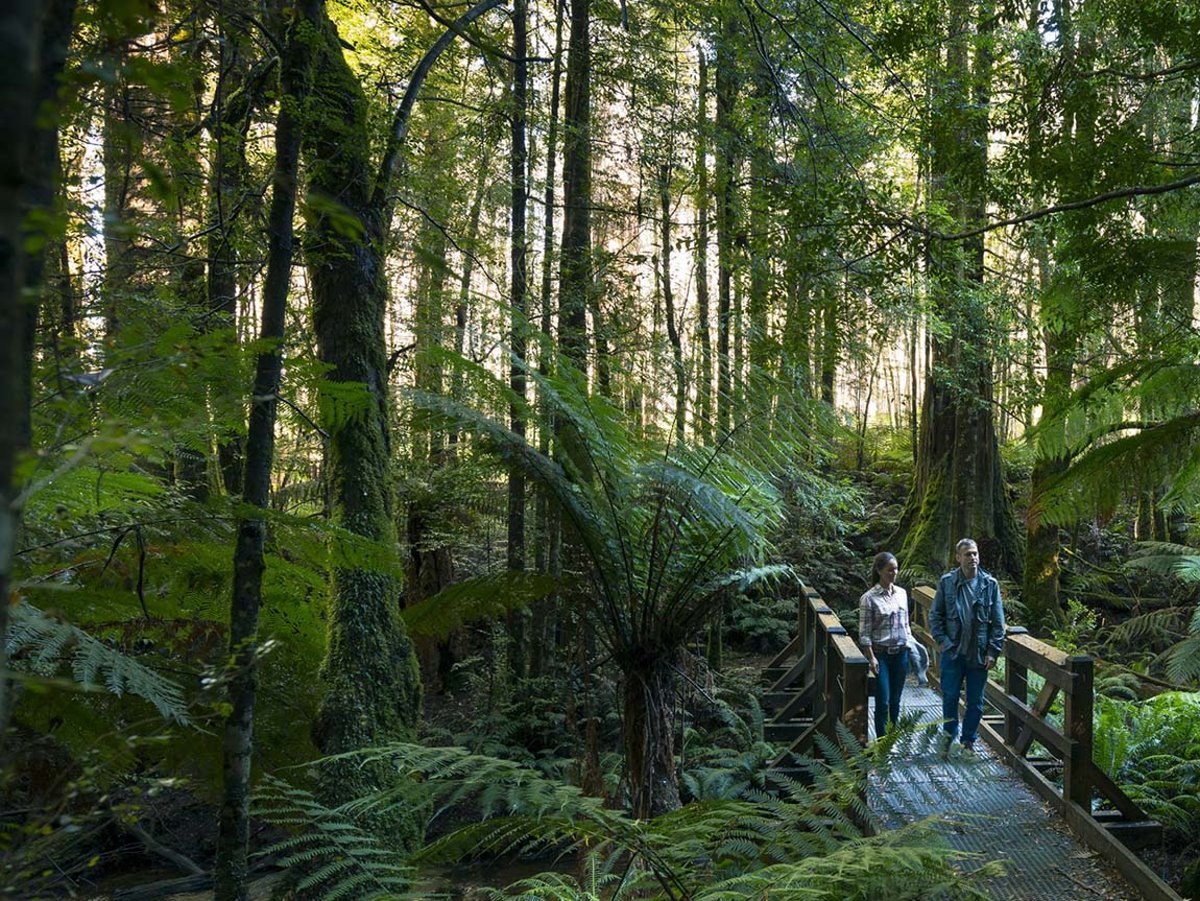 Εθνικό Πάρκο Yarra Ranges, Αυστραλία