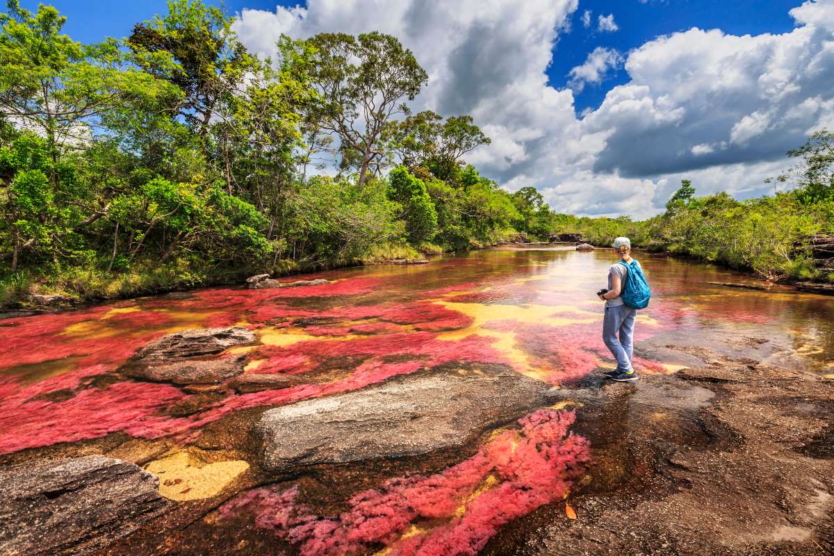 ποταμός  Cano Cristales  στην Κολομβία