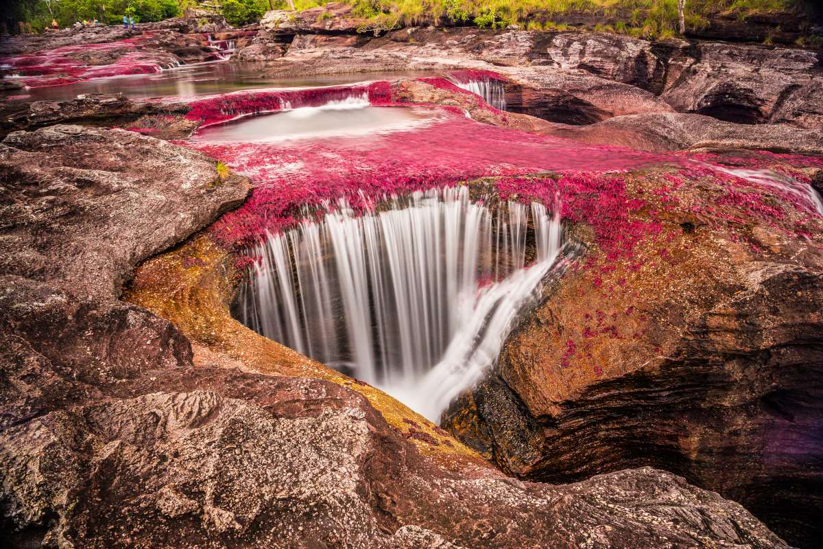 καταρράκτης του ποταμού ποταμός  Cano Cristales  στην Κολομβία