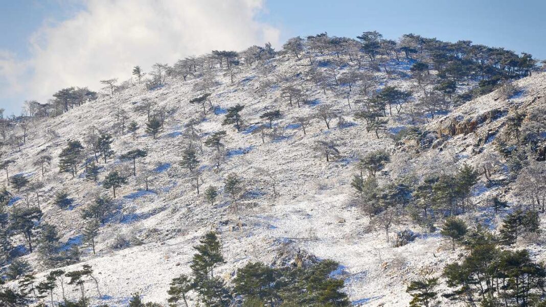 Χιόνια στη Χίο