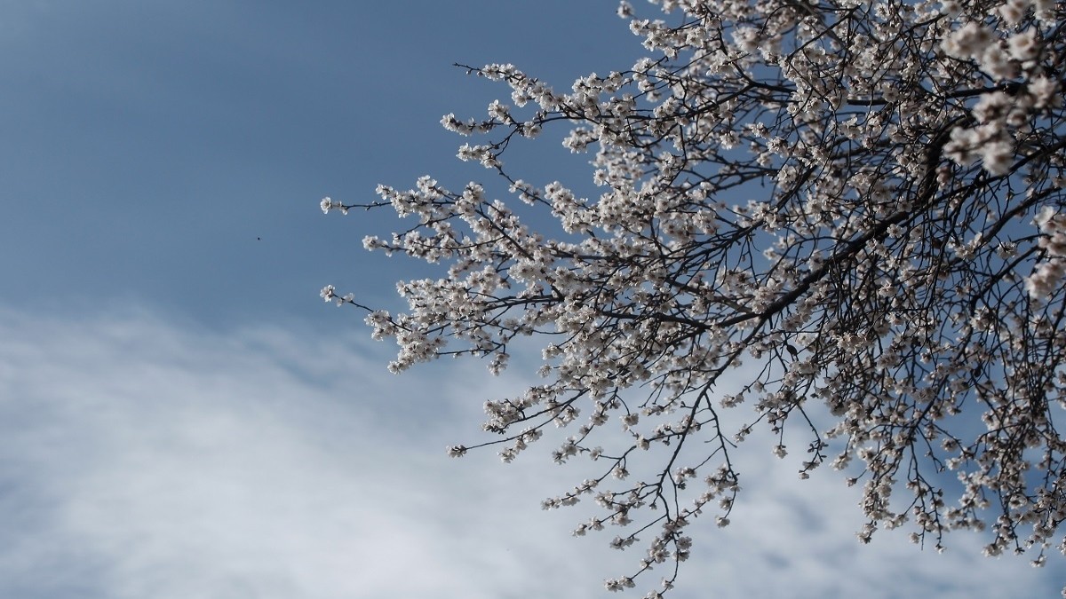 αίθριος καιρός 20/05