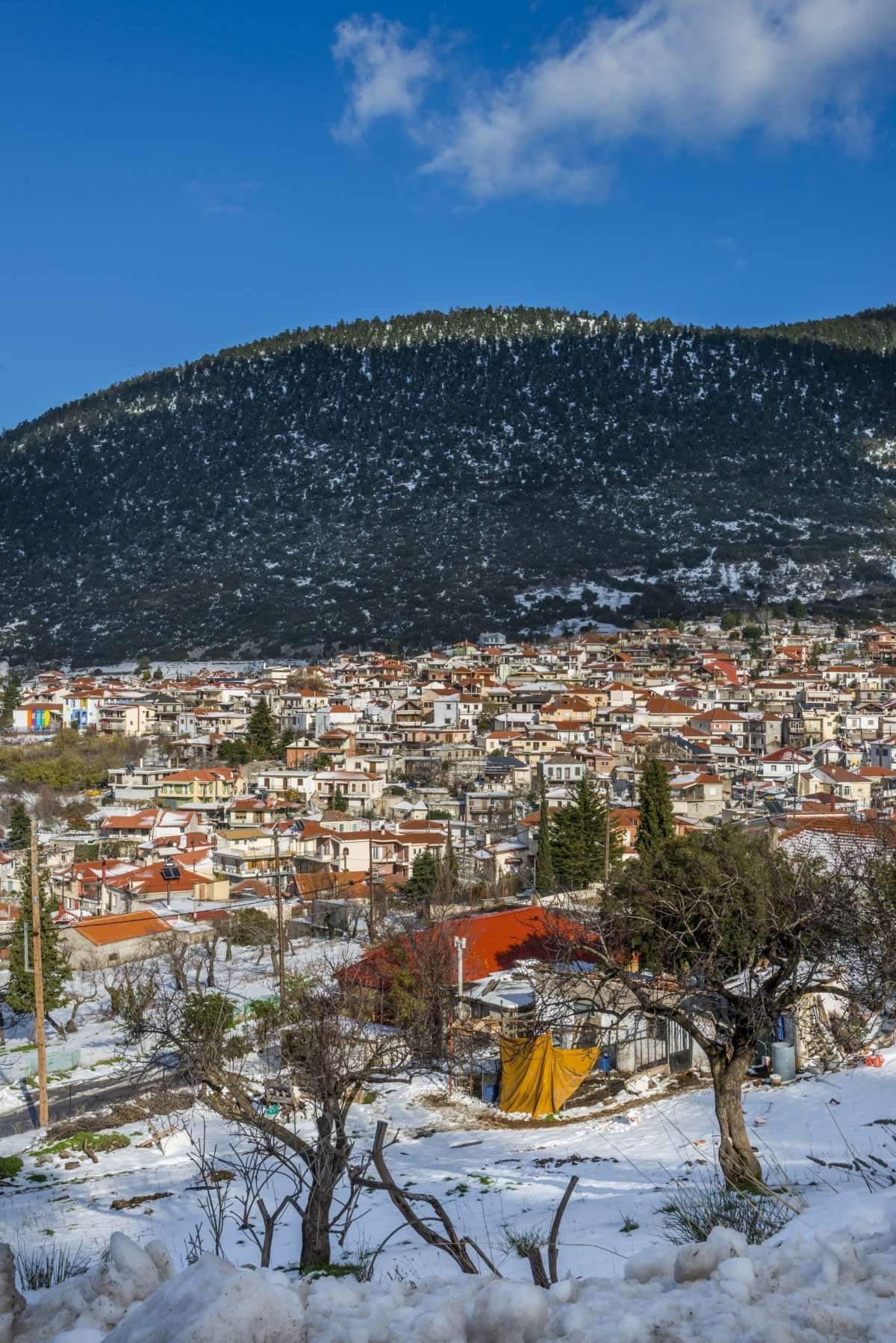 χωριά Παρνασσού Κυριάκι