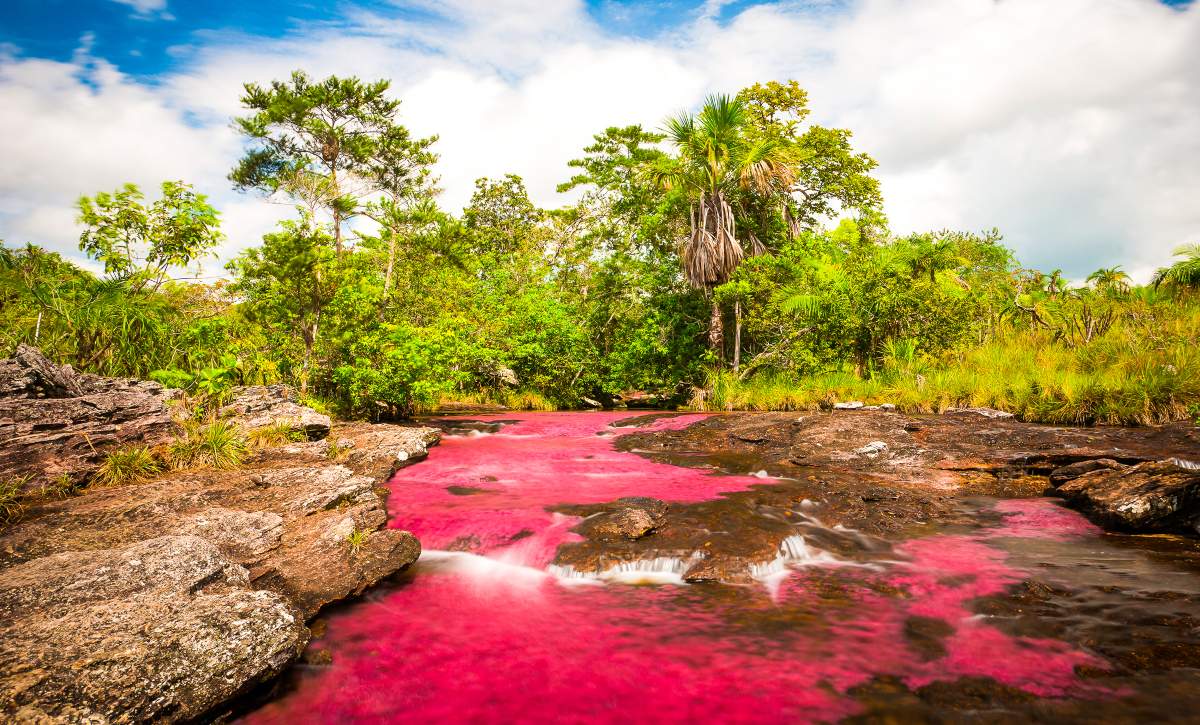 Ο ποταμός που θυμίζει ουράνιο τόξο, Cano Cristales Κολομβία