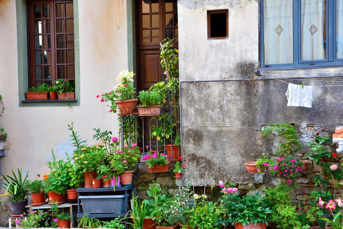 Dolceacqua μεσαιωνικό χωριό, δυτική Λιγουρία, Ιταλία, λουλούδια σε αυλή