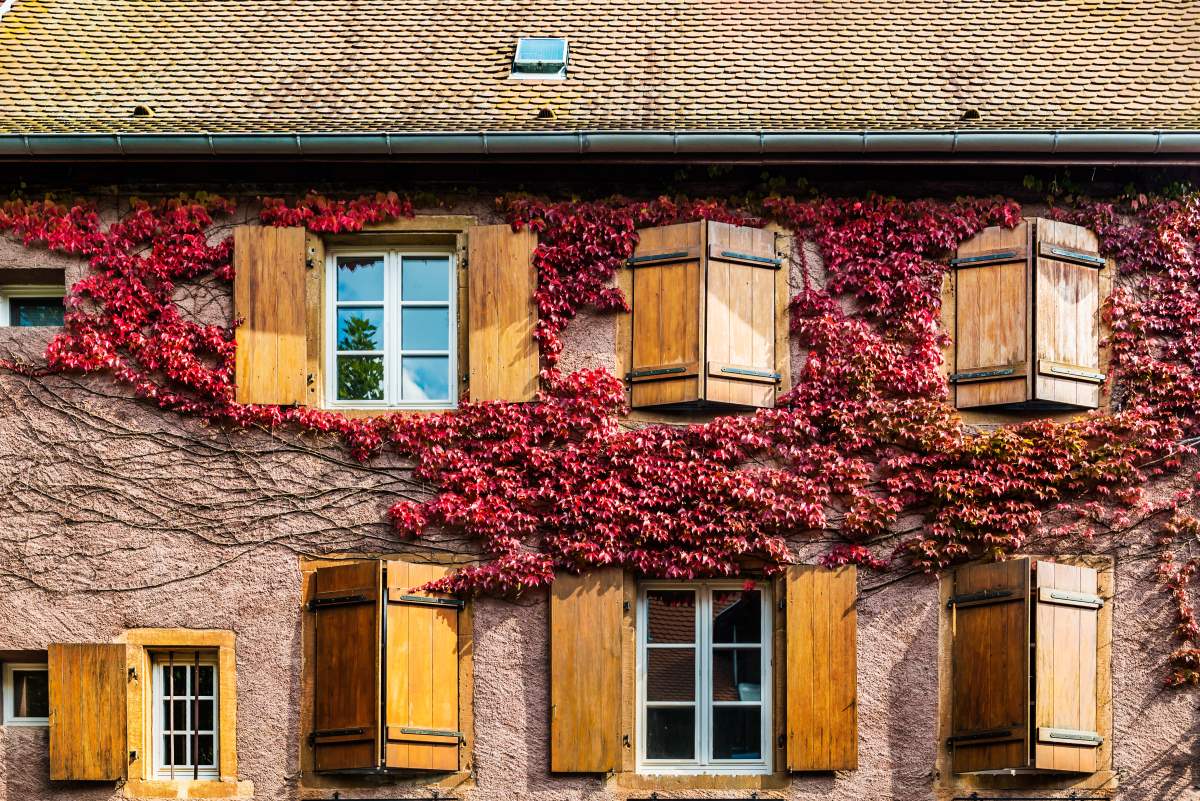 Γραφικές εικόνες στο Eguisheim, Γαλλία