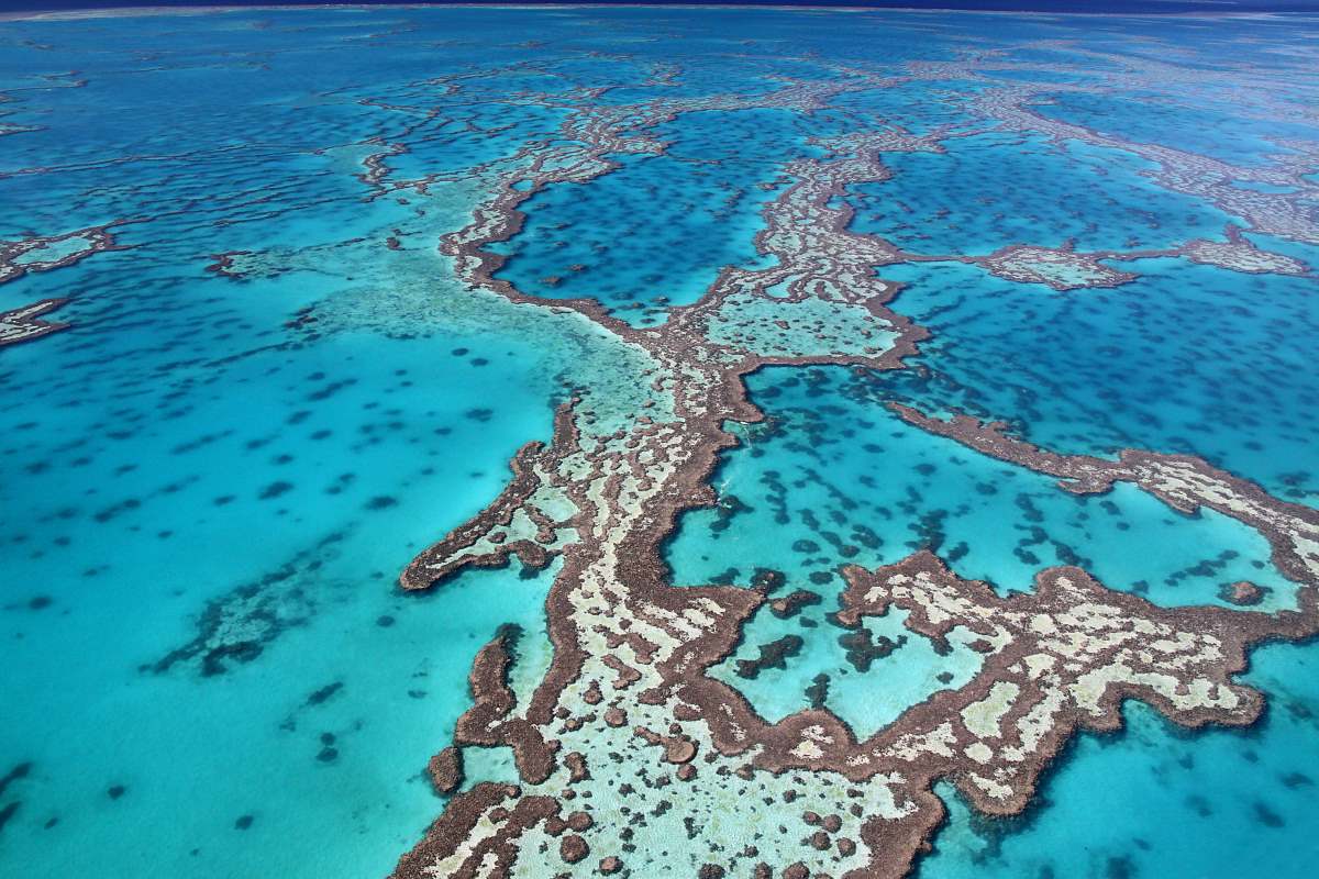 Great Barrier Reef, Aυστραλια.  