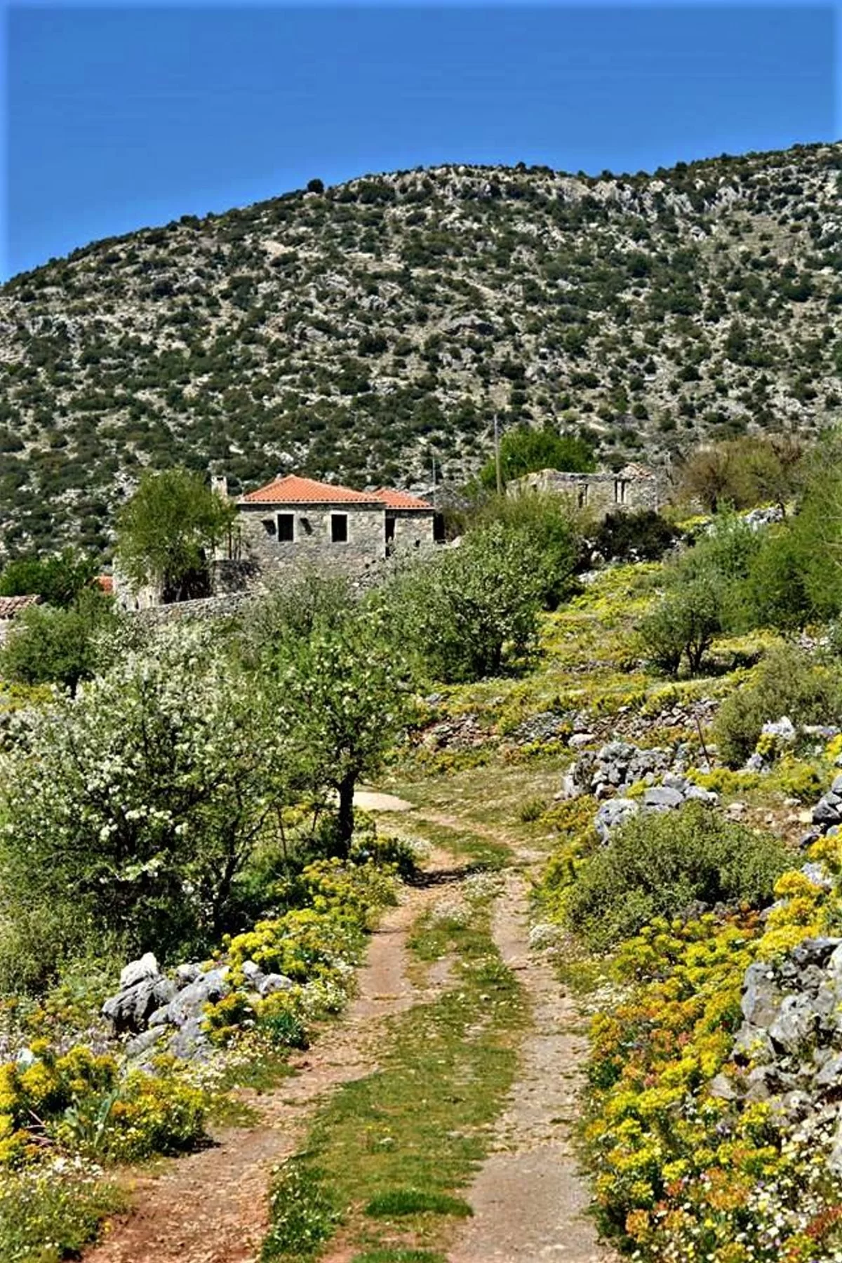 Σπίτια στα Αλτομιρά Μεσσηνίας