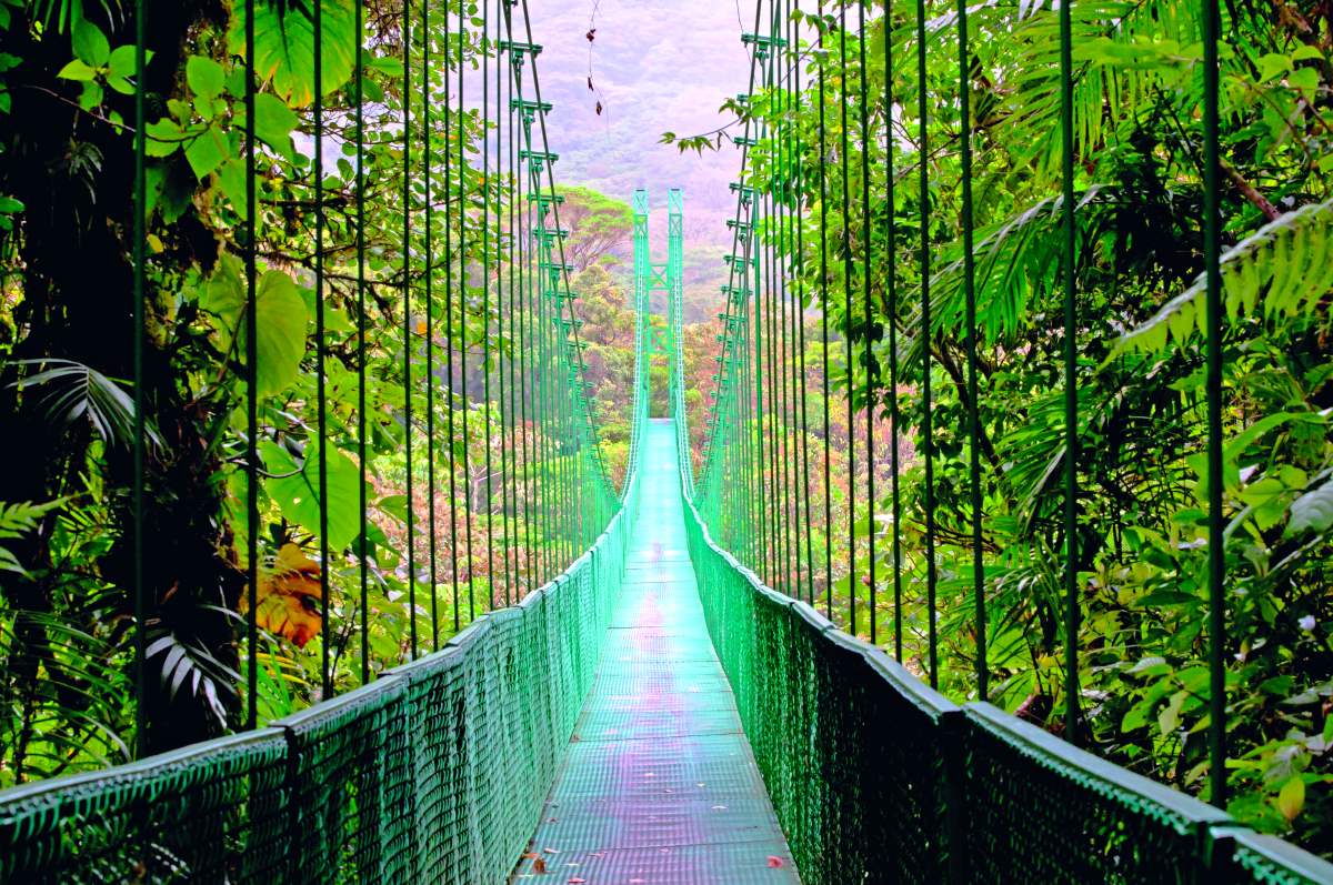 Κρεμαστή γέφυρα Monteverde Cloud forest 