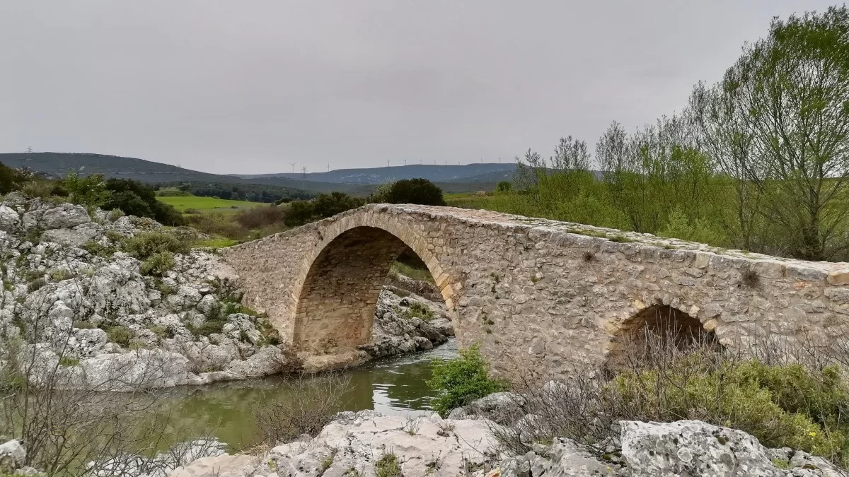 Δαφνούλα Αθήνα