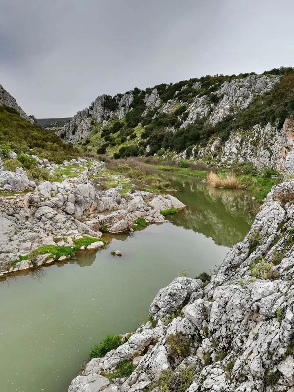 Βουκολικό τοπίο Δαφνούλα