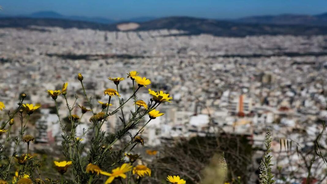 Καιρός 19/2 ηλιοφάνεια