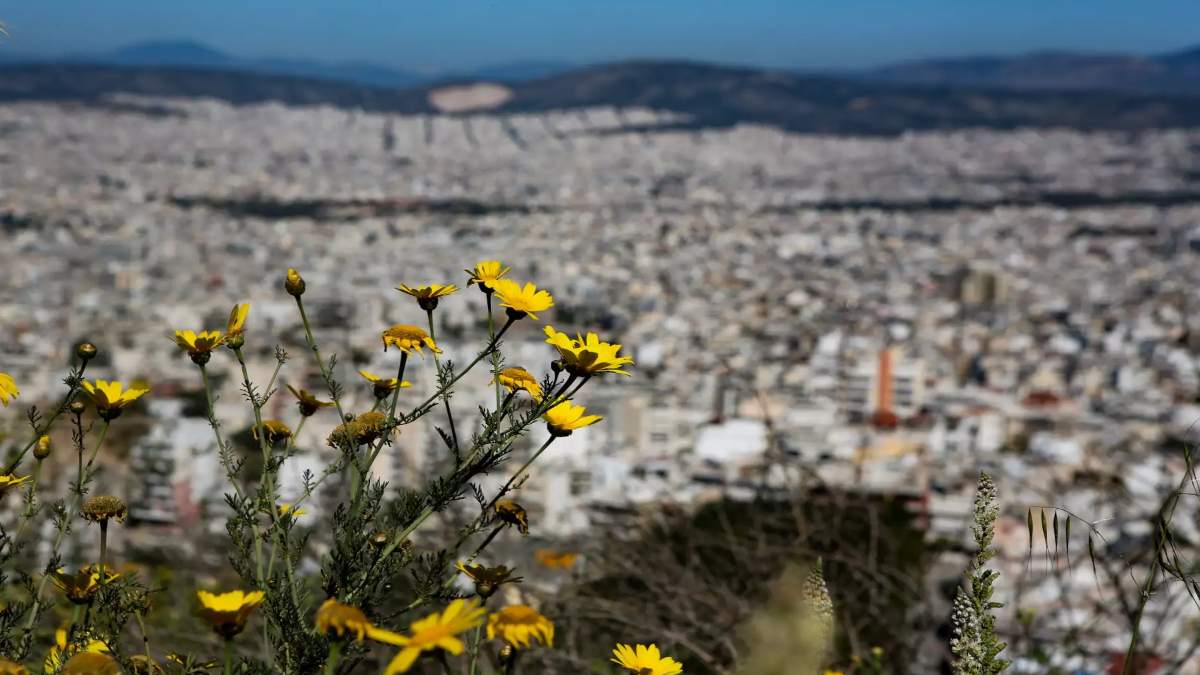 Καιρός 19/2 ηλιοφάνεια