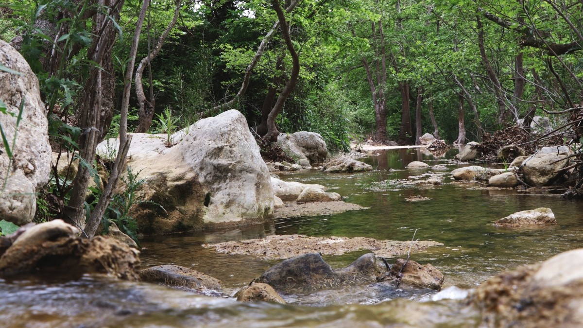 Ράθες Καπανδρίτι