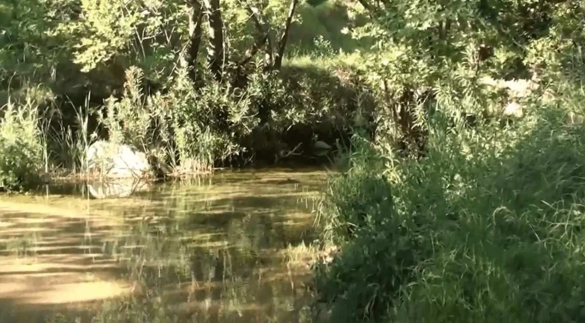 Ράθες Καπανδρίτι πράσινο