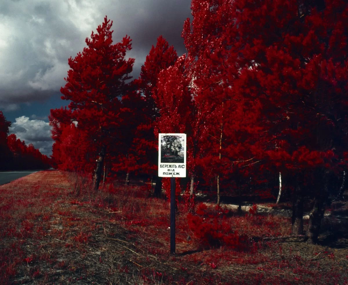 The Red Forest, Ουκρανία