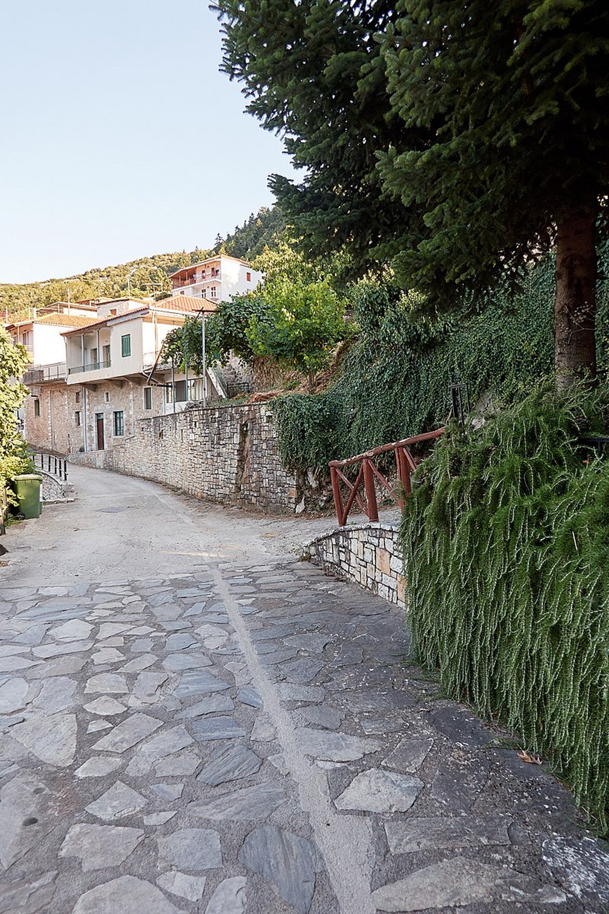 Σίταινα: Το "άσημο" χωριό της Πελοποννήσου μέσα στα έλατα, φυσικό "μνημείο" του Πάρνωνα! (βίντεο)