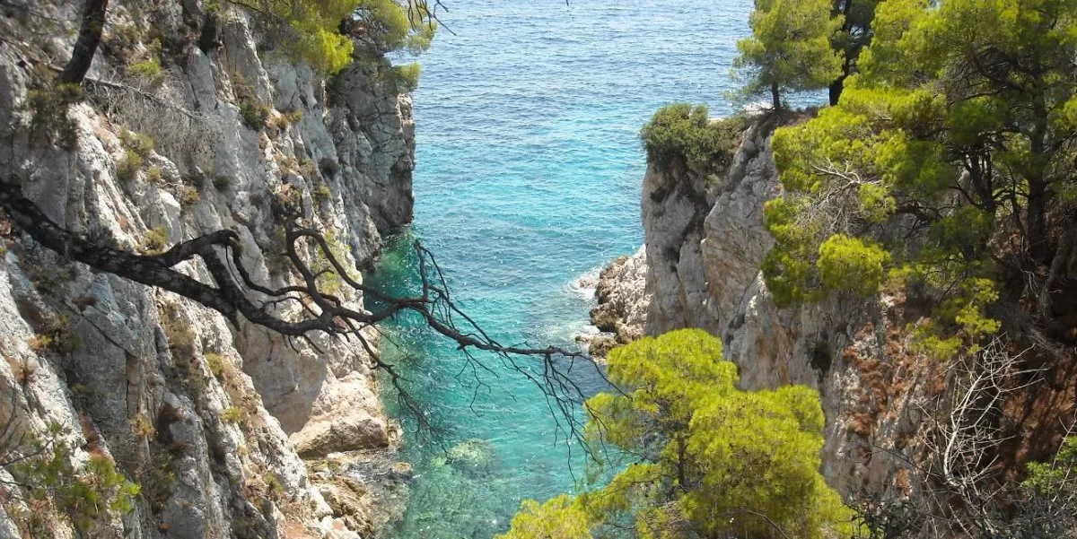 Σκόπελος,Δρακοντοσχιμα