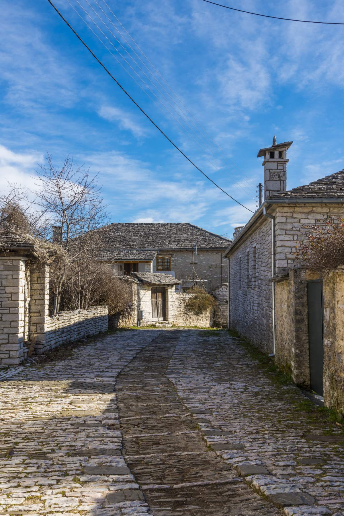 Βίτσα Ζαγόρι