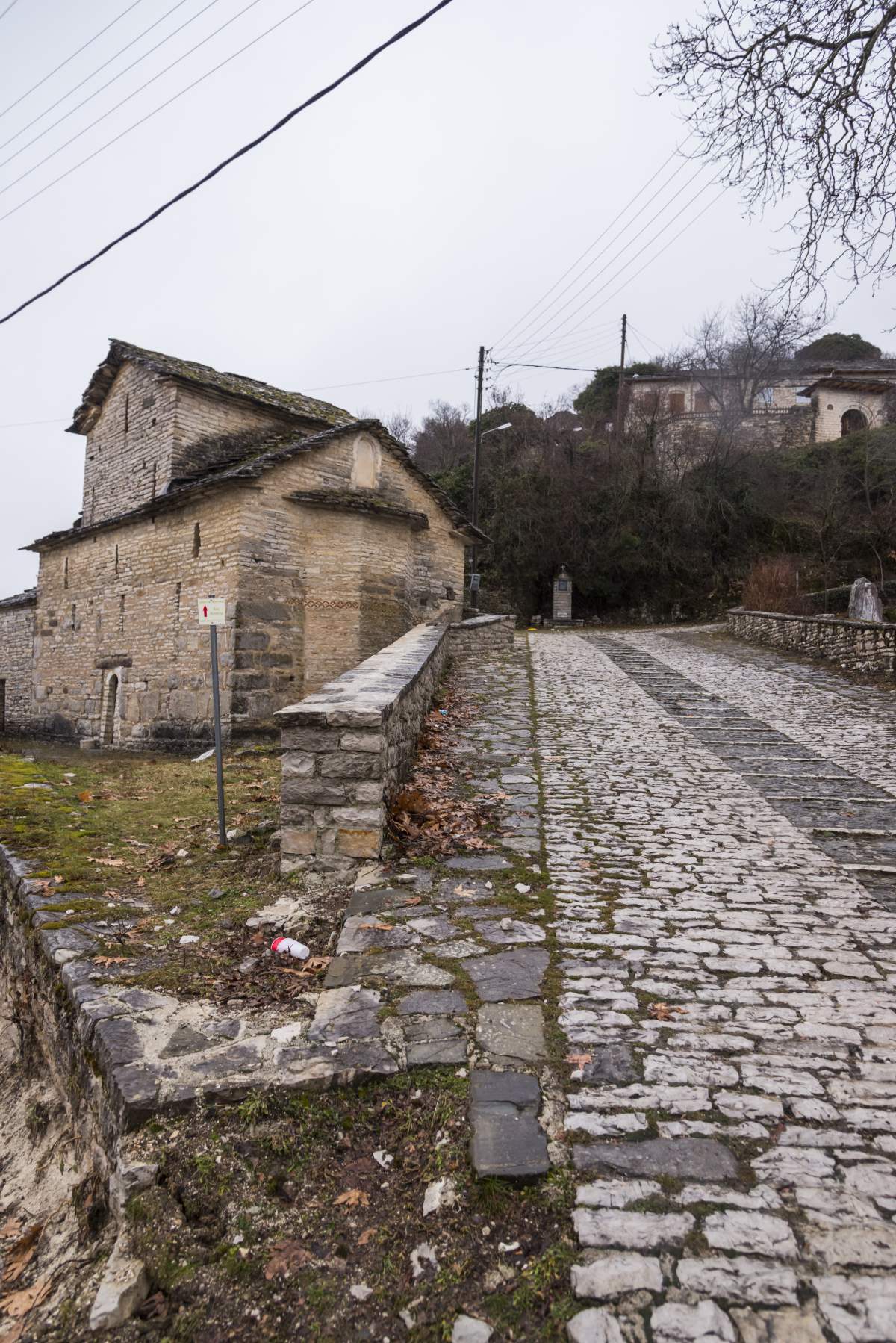 Βίτσα Ζαγόρι