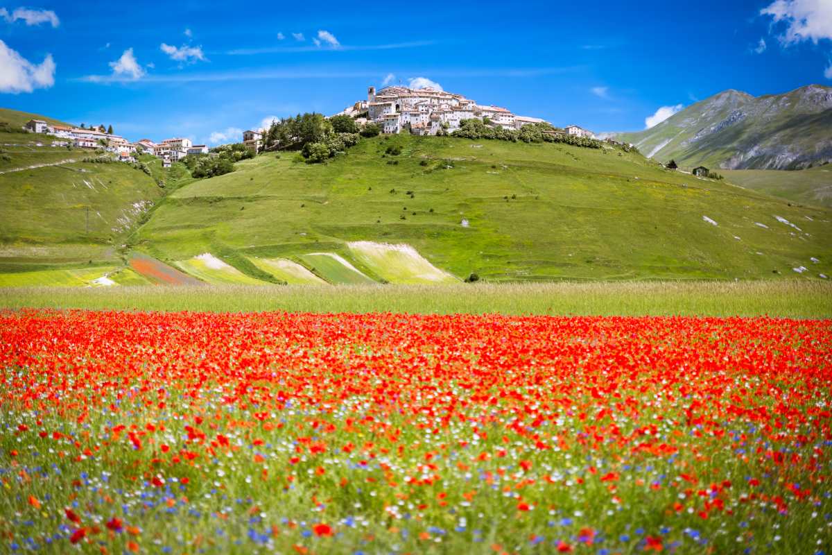 Castelluccio