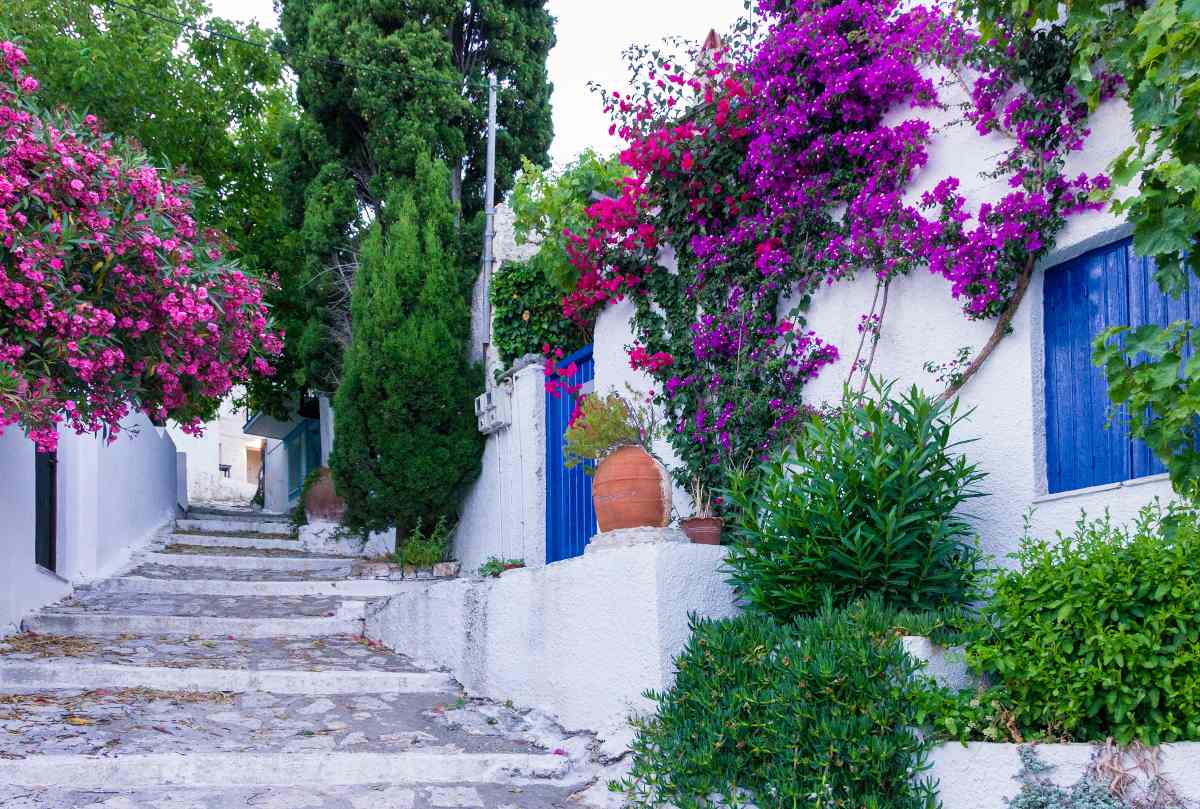 Αλόννησος Βόλτα στη Χώρα