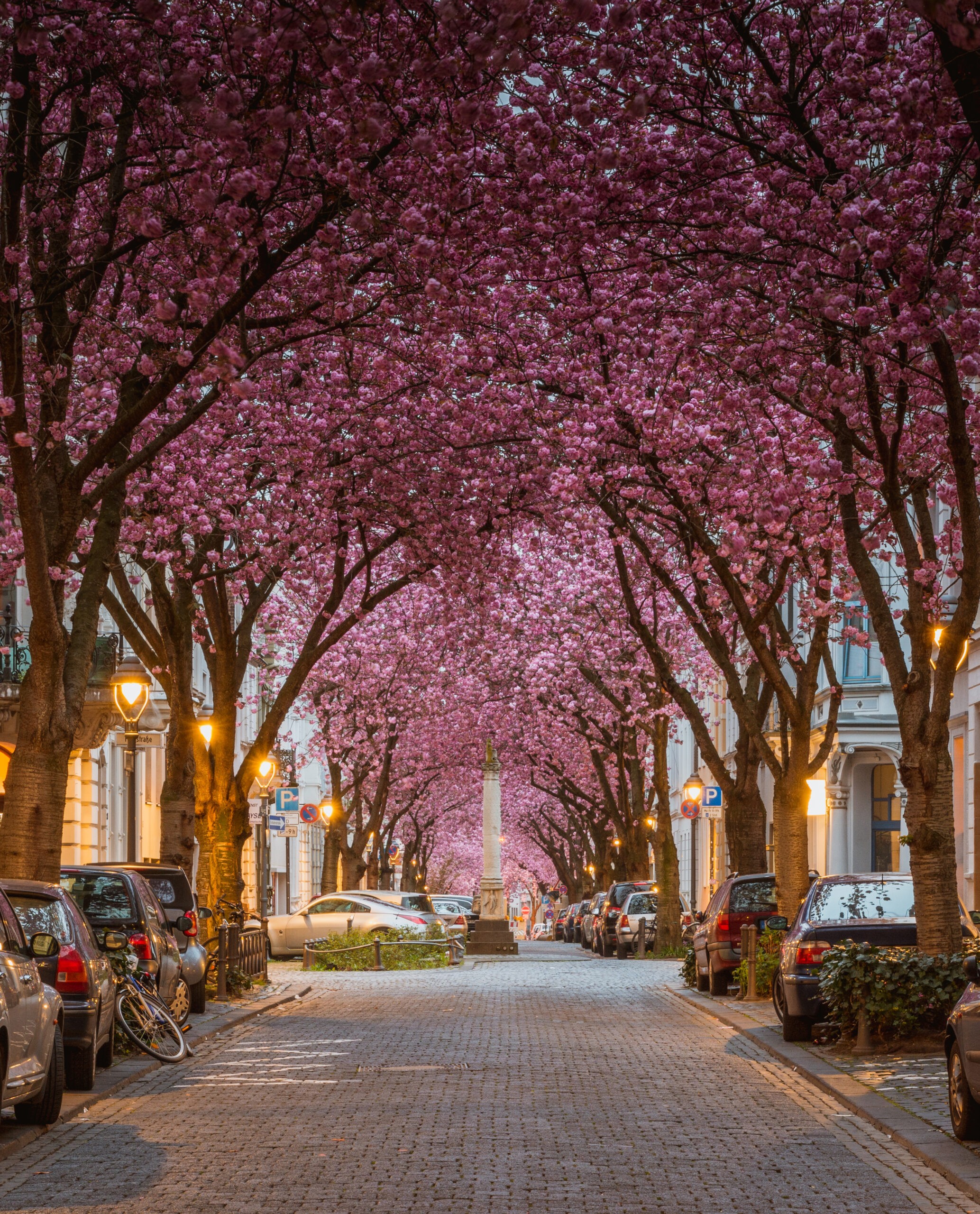 Bonn (Bόννη), Γερμανία