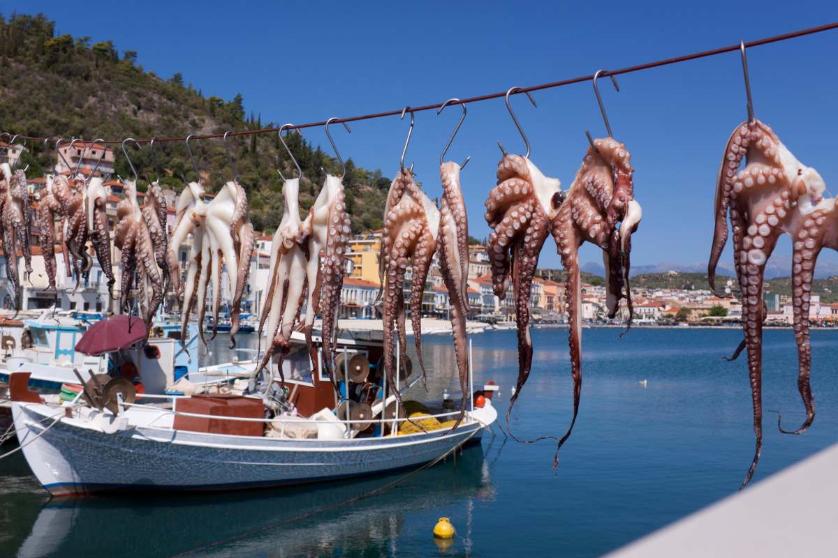 Γύθειο χταπόδια -ουζερί