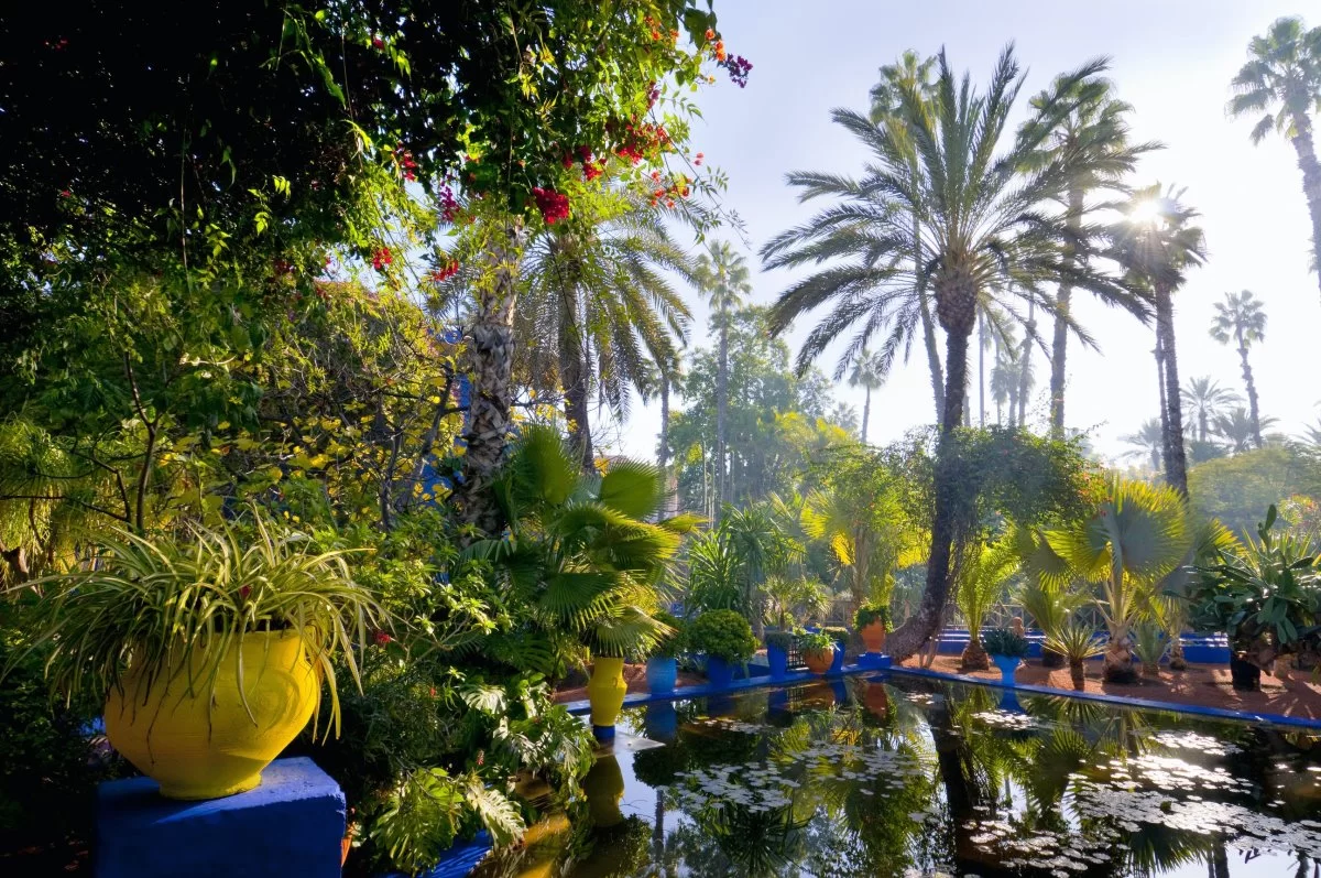 Κήπος Majorelle, Μαρακές, Μαρόκο 