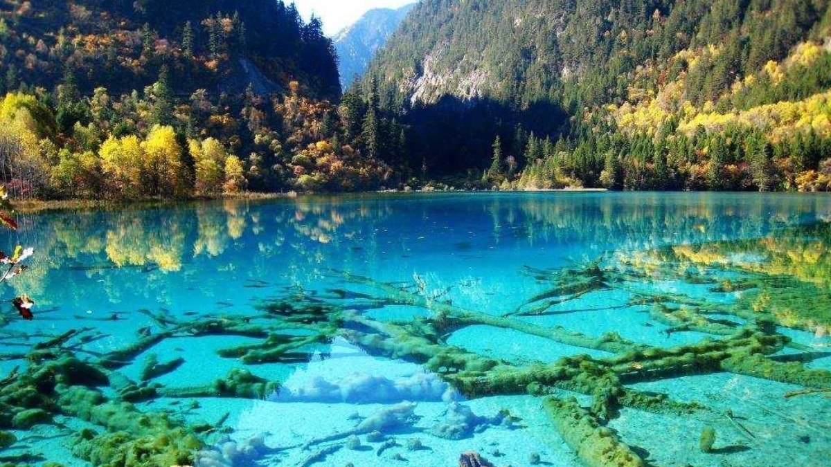 Λίμνη των 5 λουλουδιών, Εθνικό Πάρκο Jiuzhaigou Κίνα