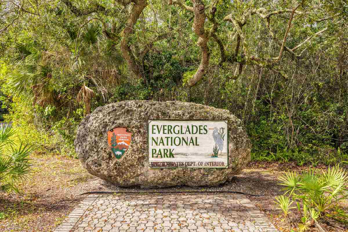 Εθνικό Πάρκο Everglades, ΗΠΑ