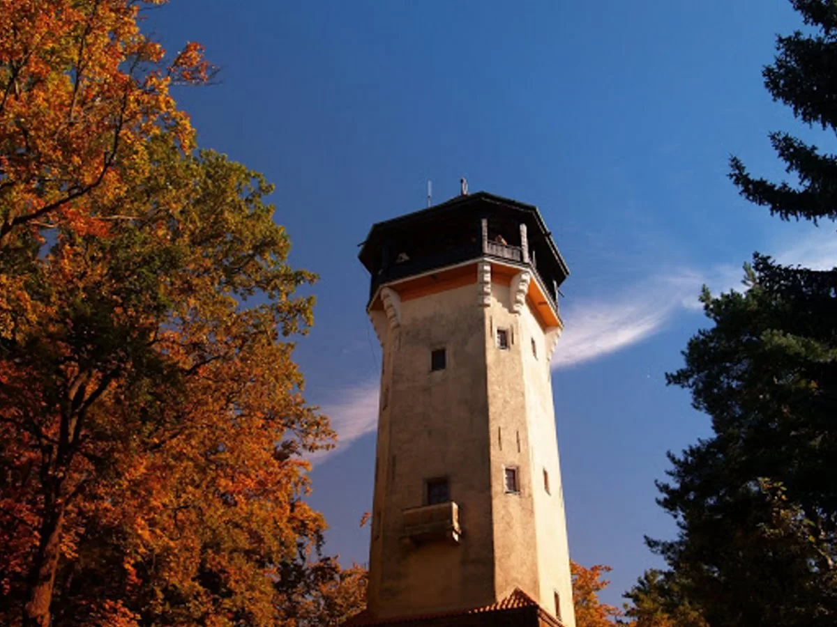 Diana Observation Tower & Deer Jump Lookout Κάρλοβι Βάρι