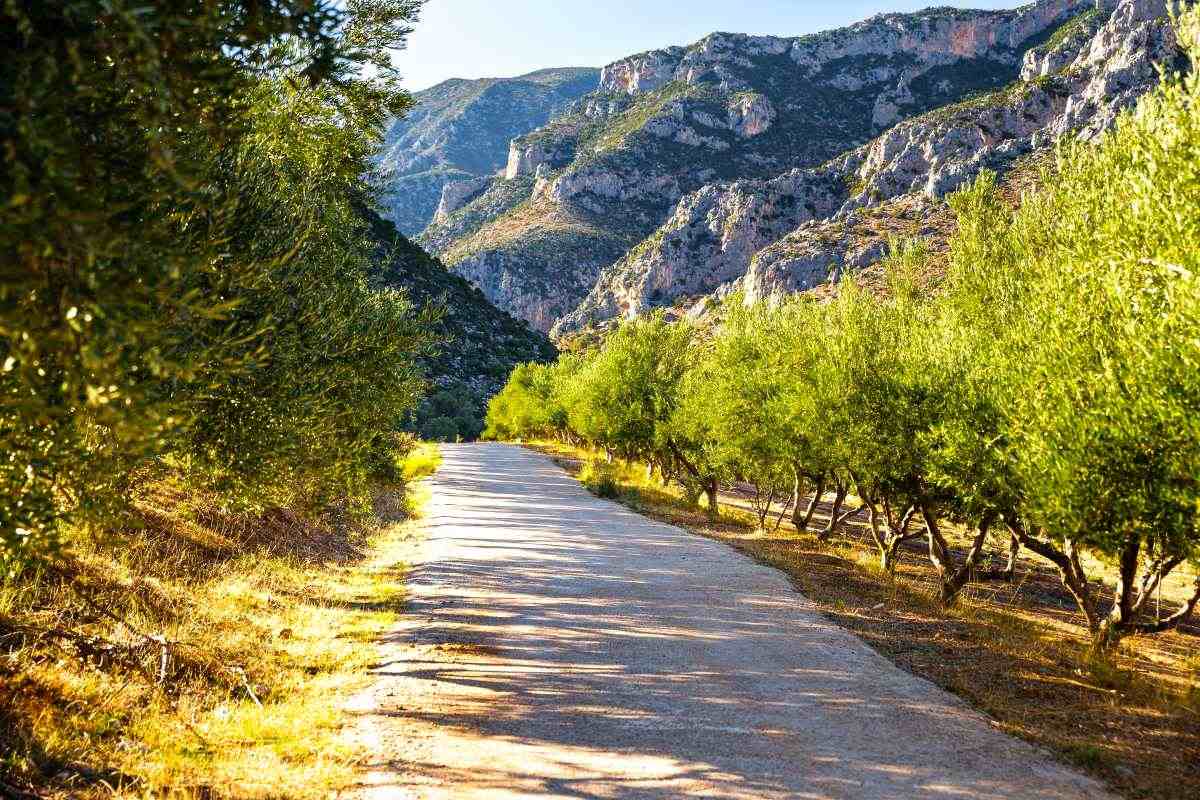 Στο δρόμο για το Λεωνίδιο 