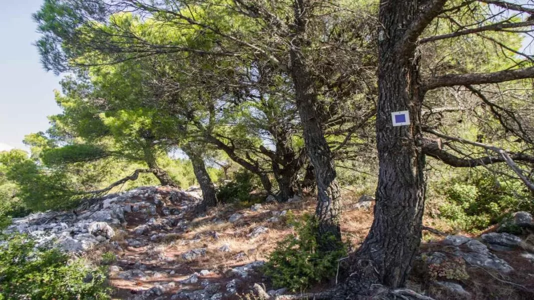 3 βουνά κοντά στην Αθήνα -Πάρνηθα