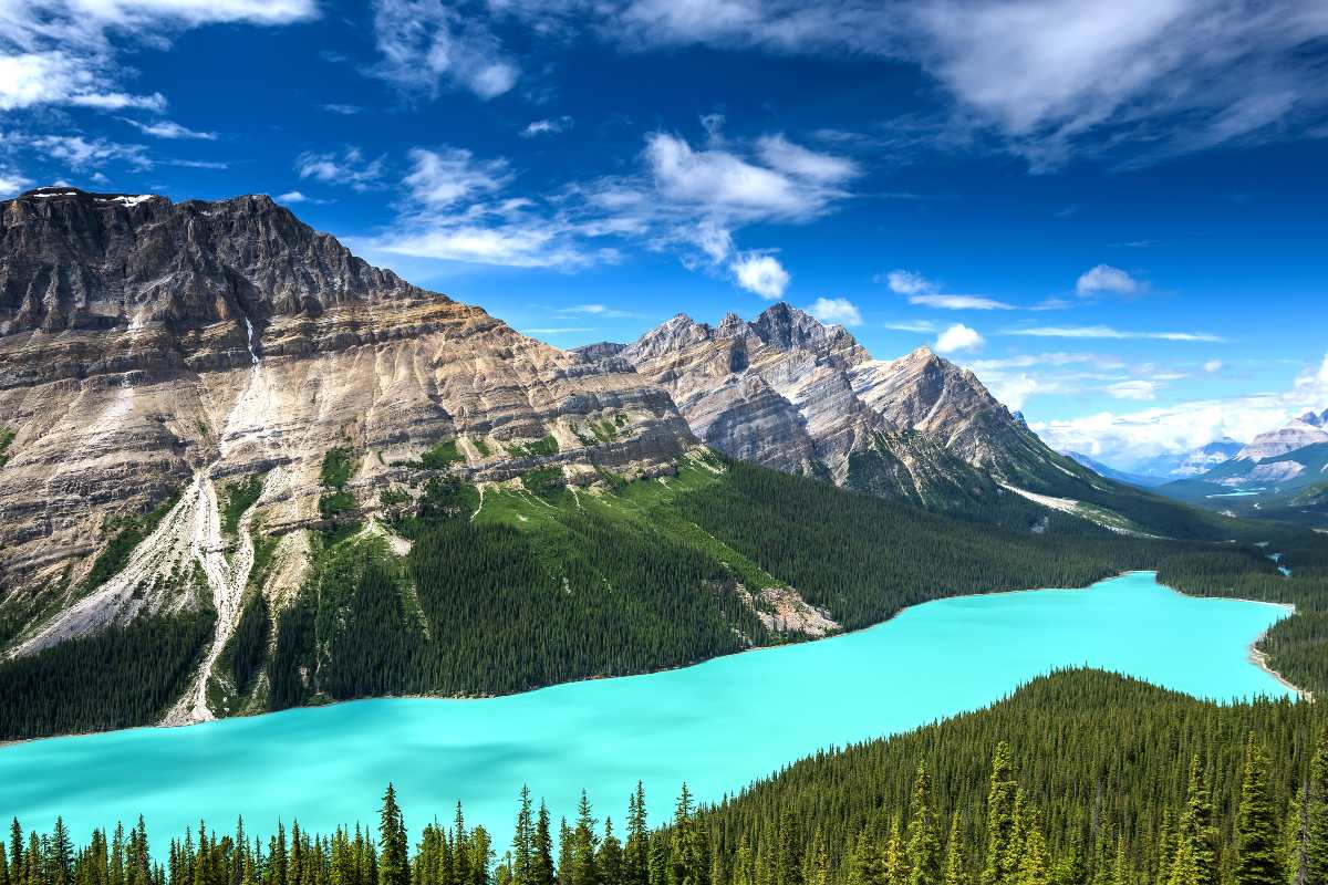 Peyto Lake, Αλμπέρτα, Καναδάς