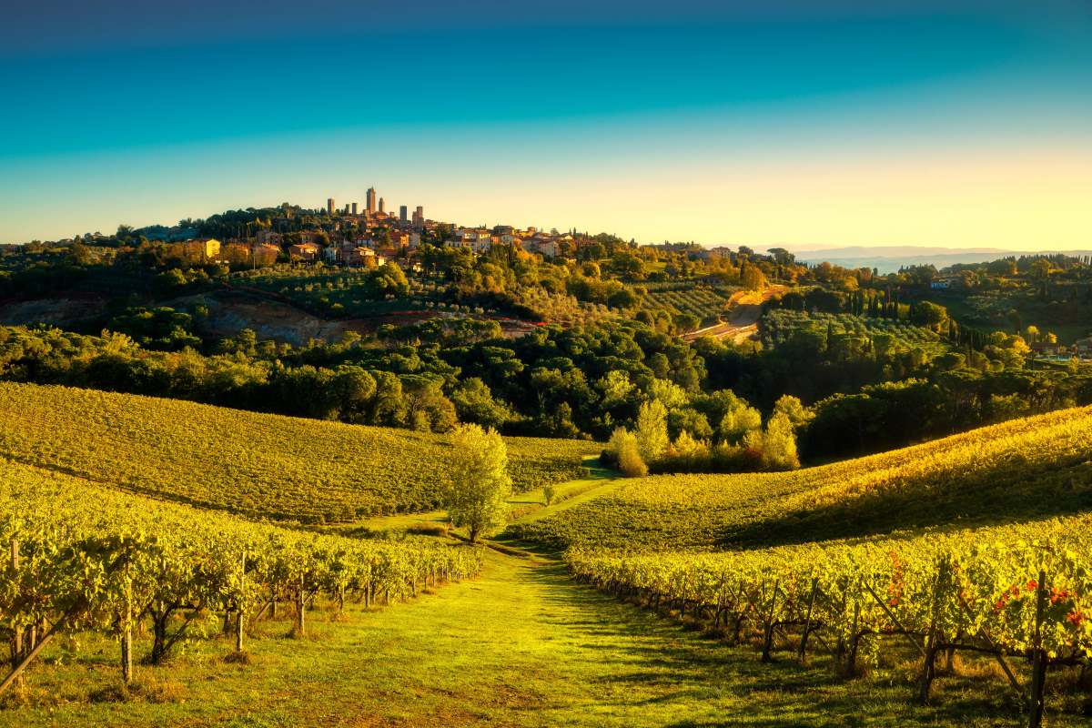 San Gimignano, Τοσκάνη - αμπελώνες