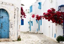 Σίντι Μπου Σαΐντ, το χωριό της Τυνησίας που θυμίζει Κυκλάδες