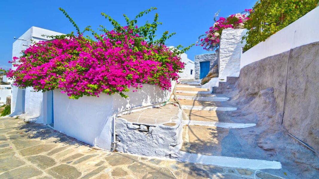 Sifnos-Apollonia