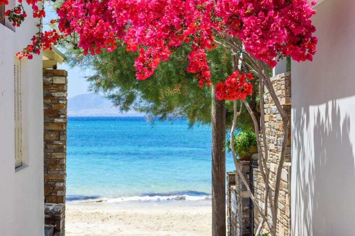 Διακοπές οικογενειακές, ρομαντικές ή με παρέα για διασκέδαση; 6 ελληνικά νησιά ανάλογα με αυτό που αναζητάς!